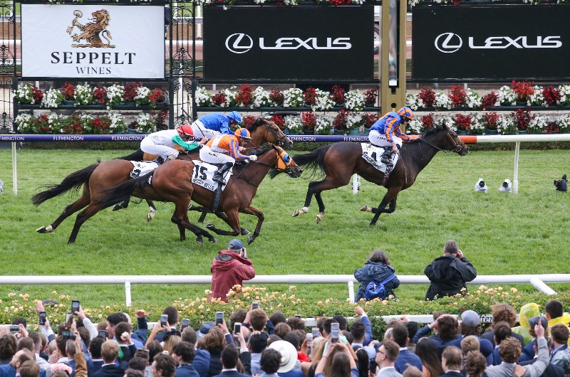 Horses For The Blackbook From 2019 Stakes Day