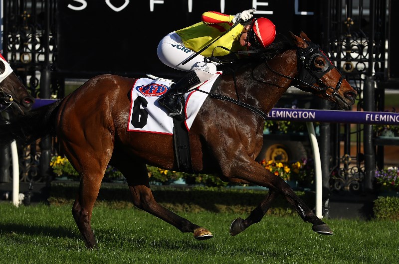 Railway Stakes on 11.11.2019