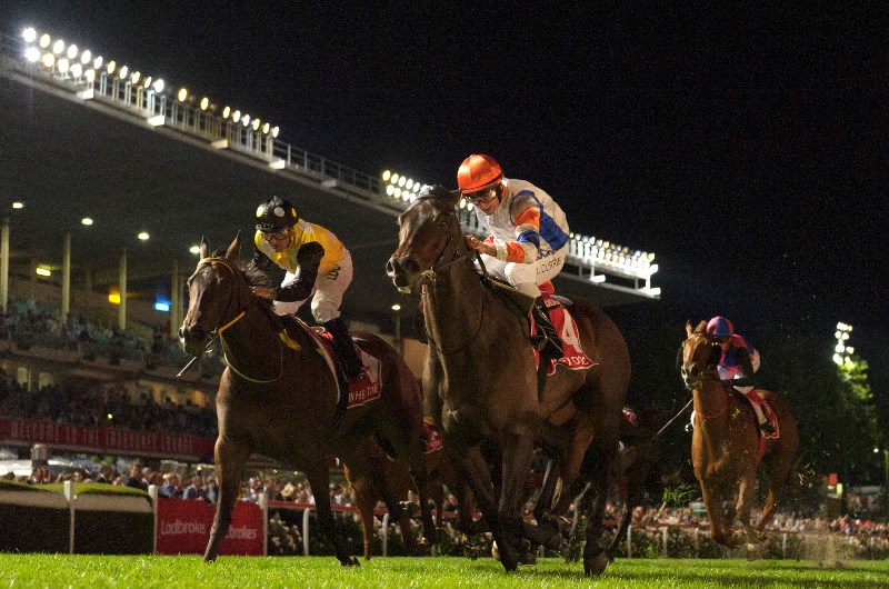 Hey Doc to make a race return at Sandown