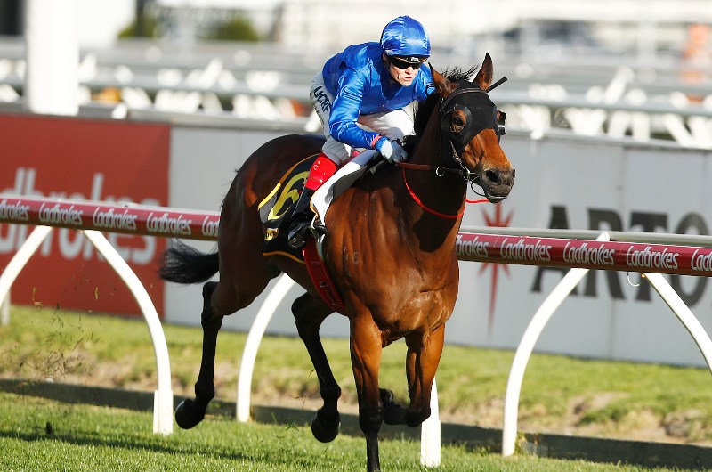 Kyneton Racing Tips For November 15