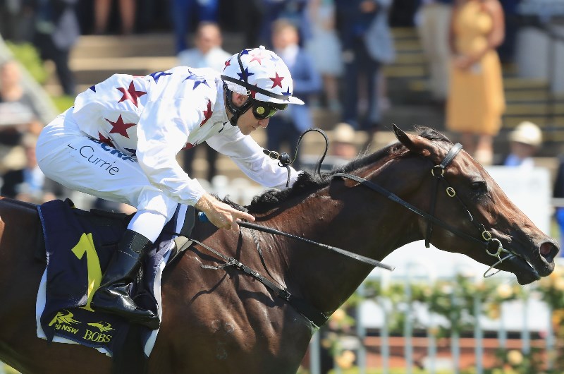 Sunlight rosehill