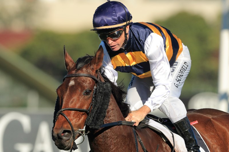 2019 Zipping Classic Day Racing Tips