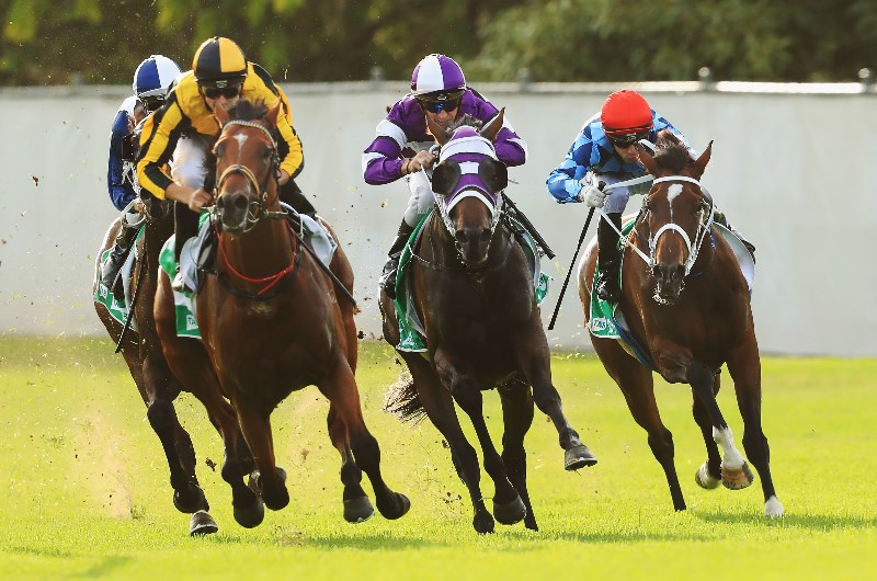 Canterbury Racing Tips for 15.11.2019