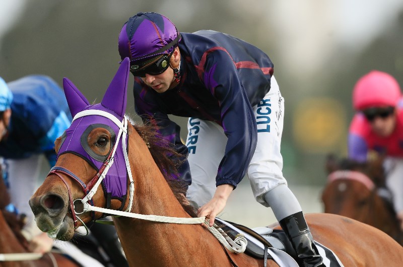 Gundagai Racing Tips For 15.11.2019