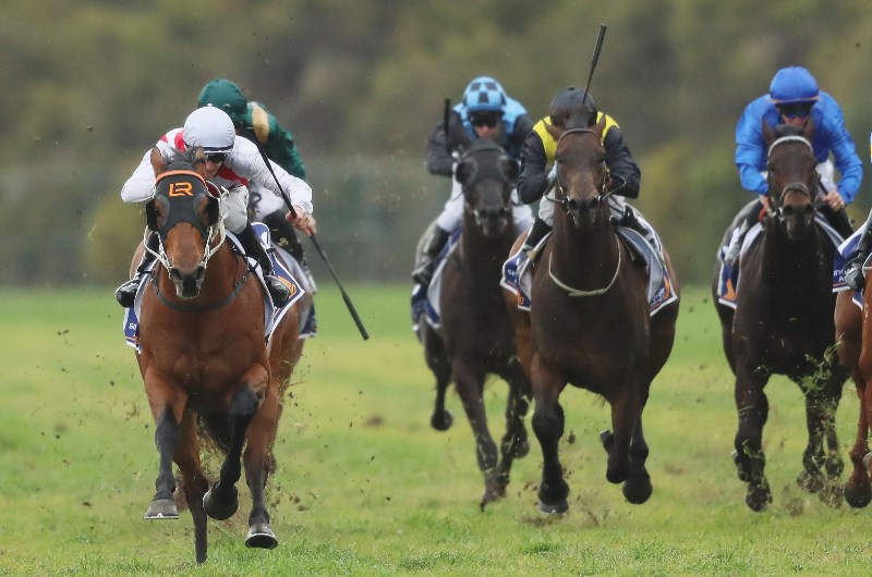 Newcastle Racing Tips for 16.11.2019