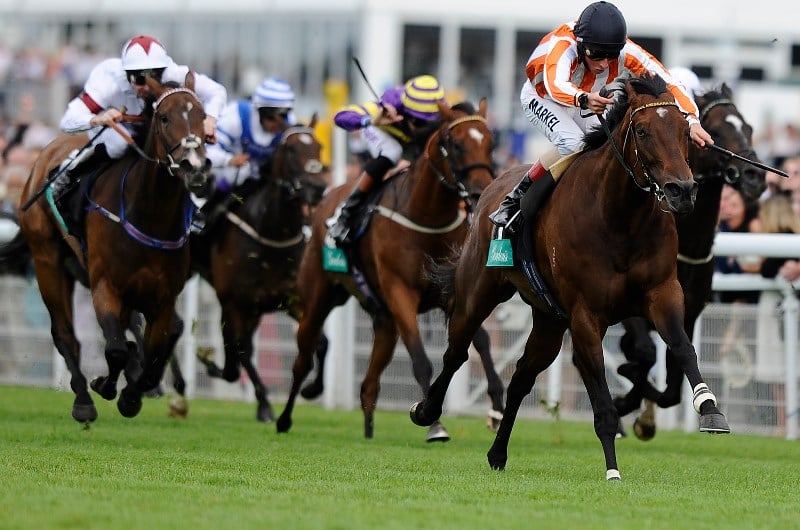 Winterbottom Racing Tips For 30.11.2019