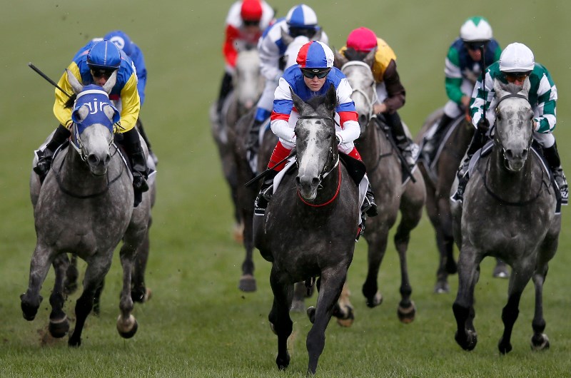 moe races today results