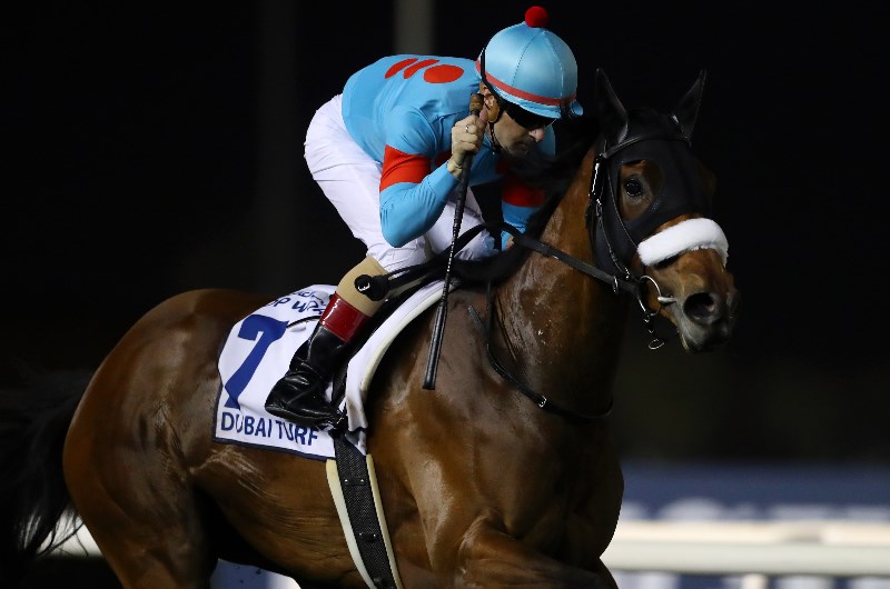 Almond Eye