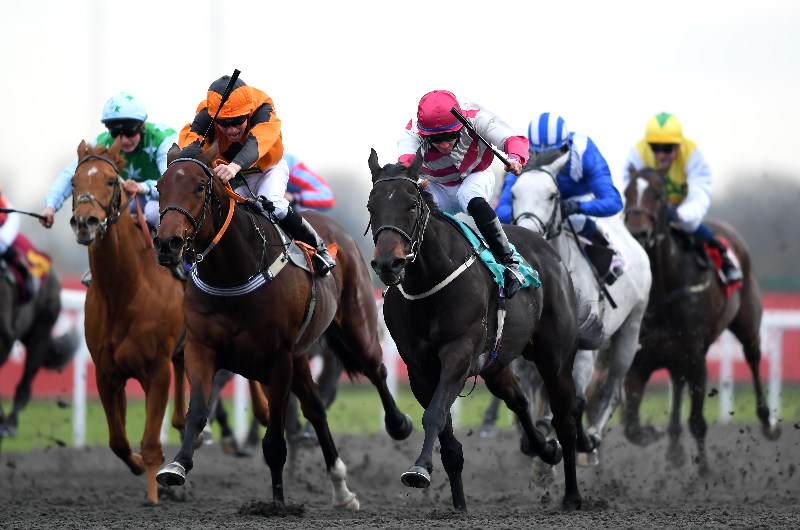 Co Galway Punter Wins Over 6 000 Off 7 50 Horse Racing Bet