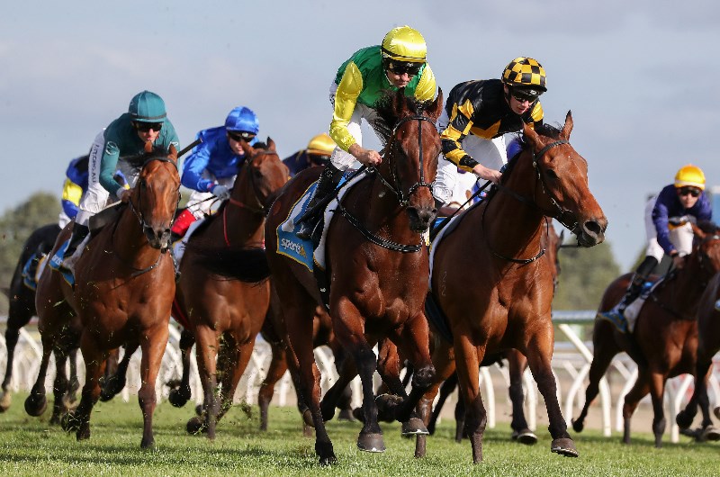 Racing Review from 23.11.2019