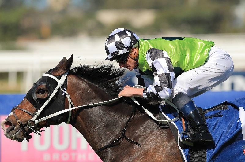 second image for Racing Review for 23.11.2019 second image for Racing Review for 23.11.2019