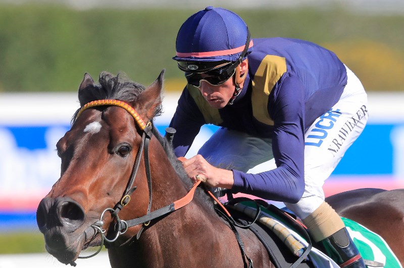 Baller starts to roll towards Magic Millions