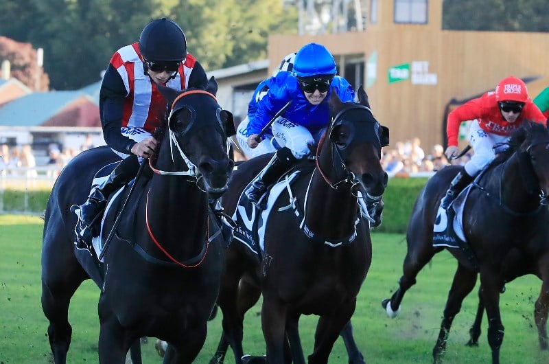 Big Bets for 30.11.2019