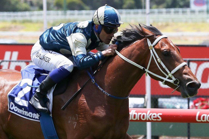 Big Bets results from 30.11.2019