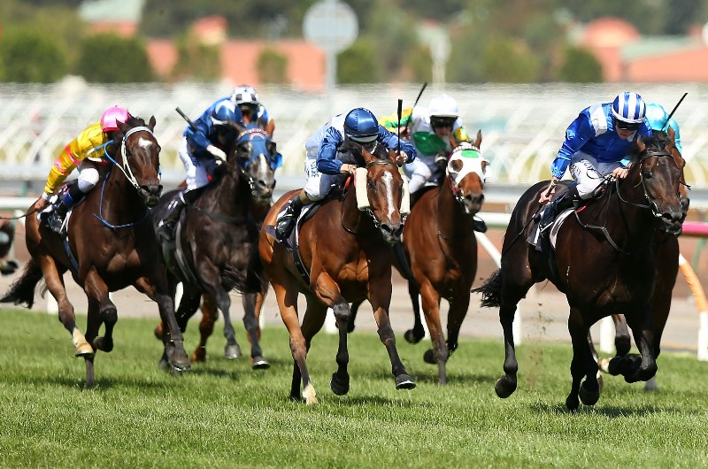 Hamilton Racing Tips For December 3