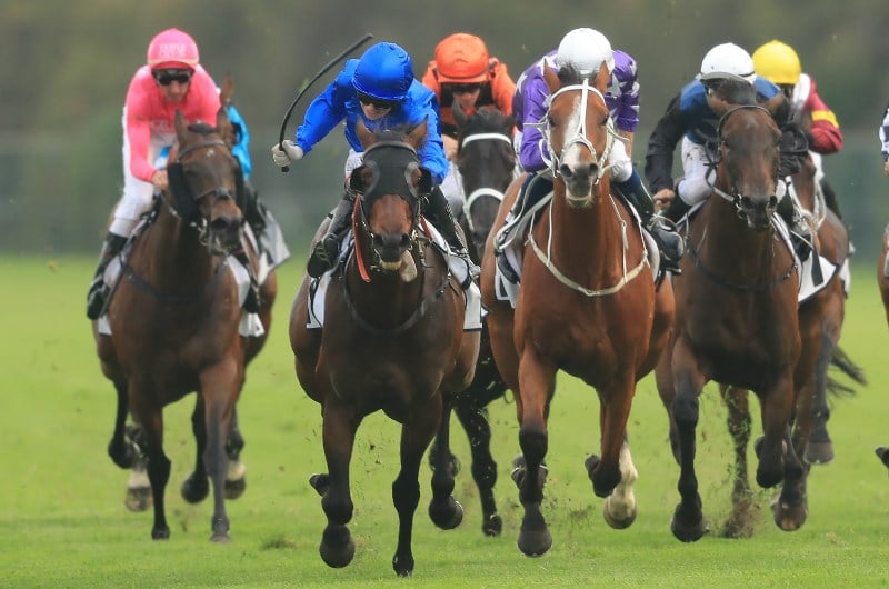 Racing Review from 30.11.2019 Racing Review from 30.11.2019