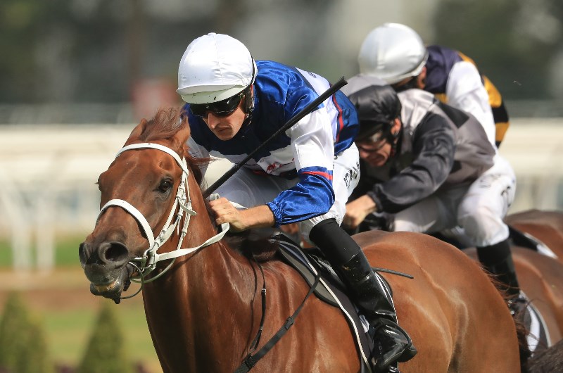 Rosehill Blackbook from 30.11.2019