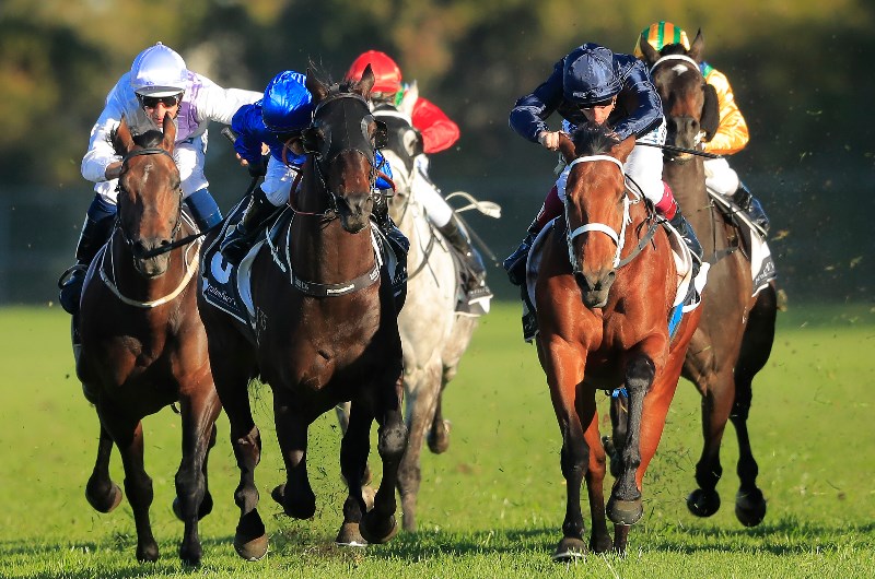 Tamworth Racing Tips for 03.12.2019