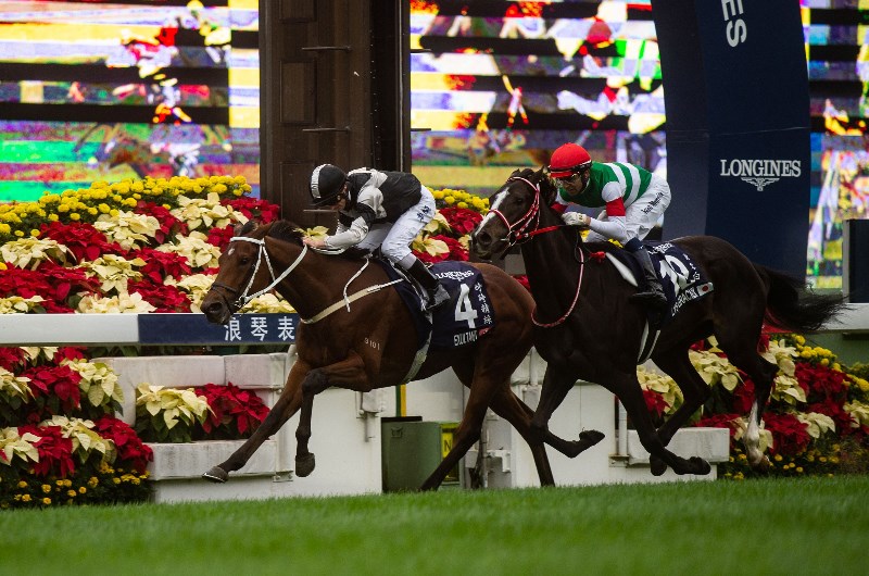 2019 Hong Kong Vase Race Preview Can Exultant Defend The Vase