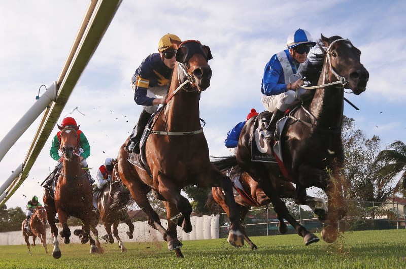 Gosford Racing Tips for 04.12.2019