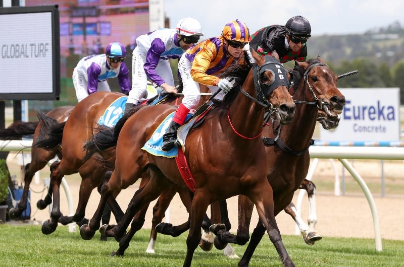 Lindsay Park are chasing another Pakenham Cup