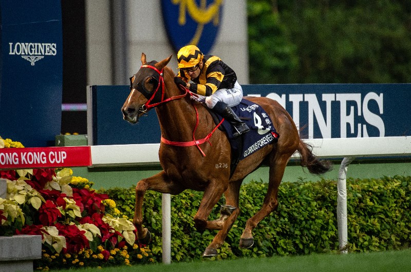 2019 Hong Kong Cup Racing Tips