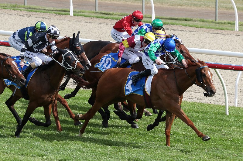 2019 Werribee Cup Day Racing Tips