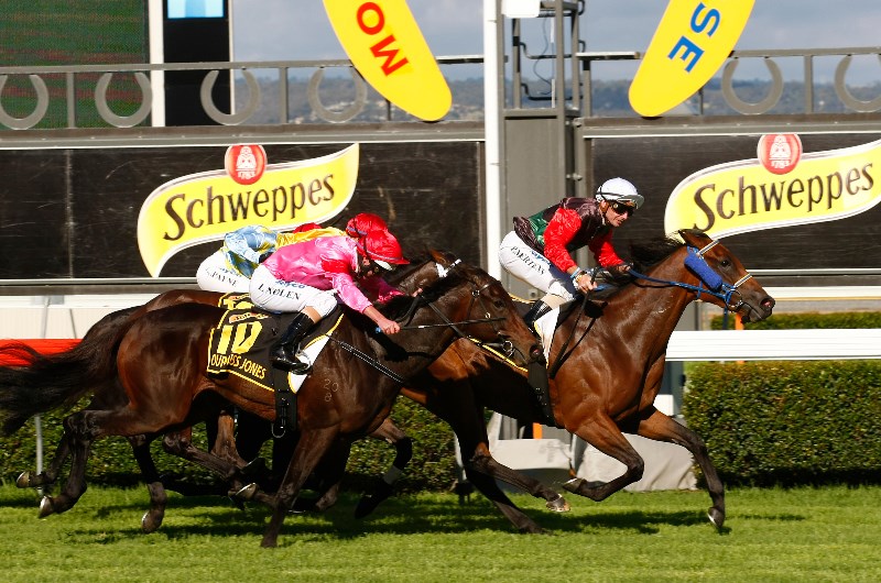 Morphettville Racing Tips For 7 December 2019 Can The Pugilist bounce