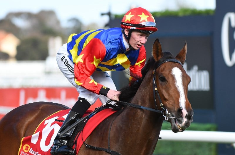 Big Bets for 07.12.2019