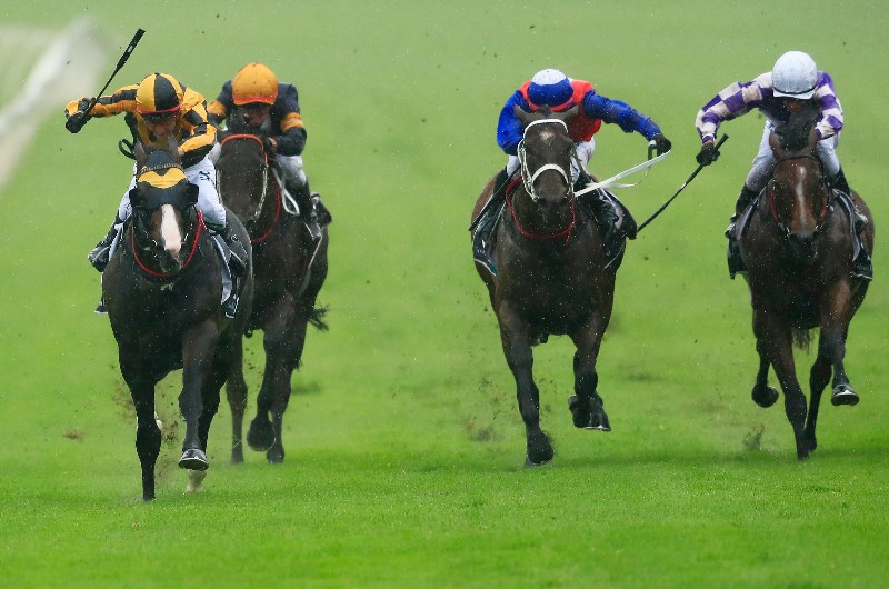 2nd pic for Canterbury Stakes static 2nd pic for Canterbury Stakes static
