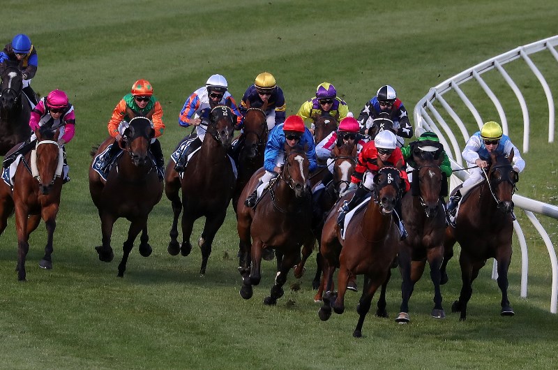 moe races today results