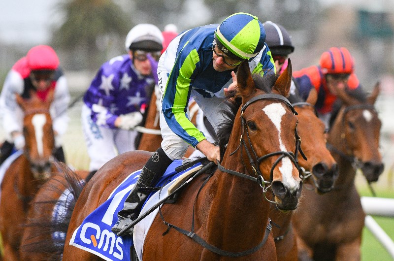 Flemington Racing Tips For 14 December 2019 Can Bam Fire On Saturday?