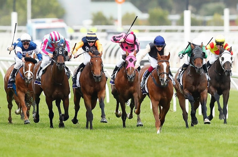 2019 Yarra Valley Cup Day Racing Tips - Can Sadler's winning week continue?