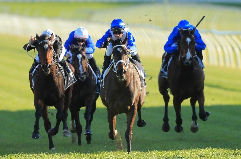 Kensington Blackbook Runners Wednesday, December 18