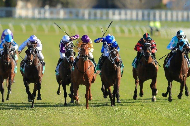 kensington horse racing