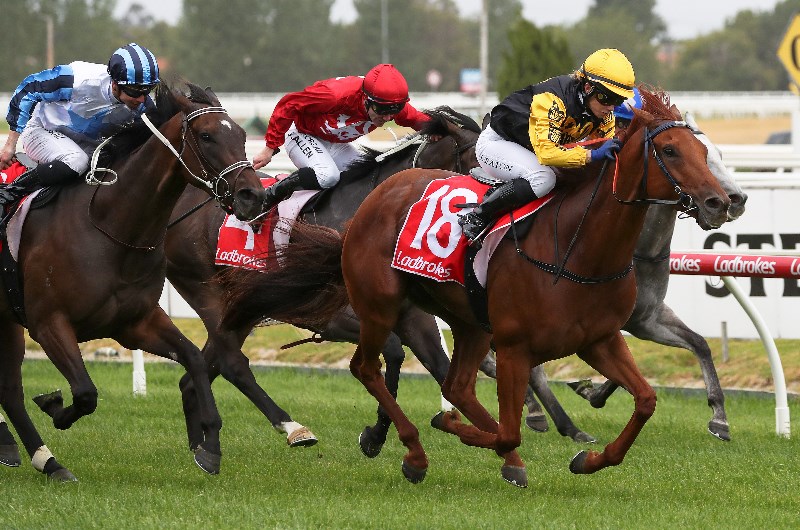Best Online Virtual Horse Race Casino Best Online Virtual Horse Race Casino