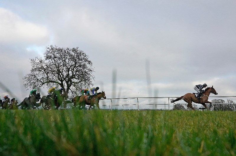 Horse Racing