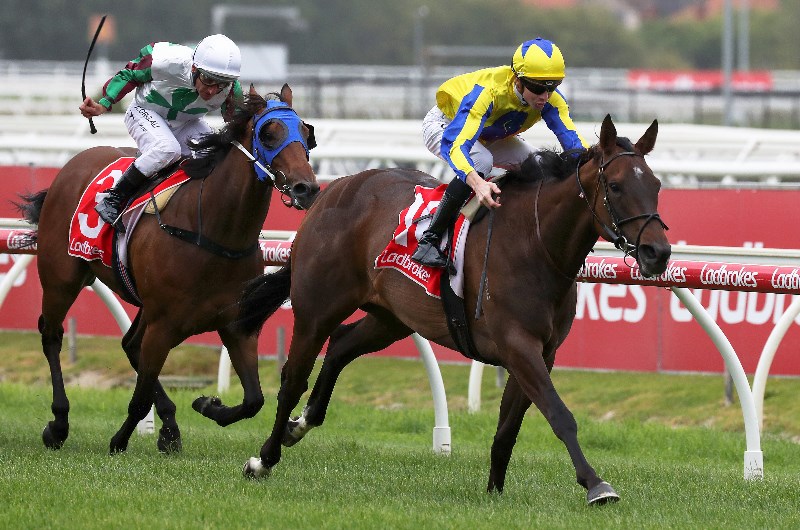Racing Review from 04.01.2020