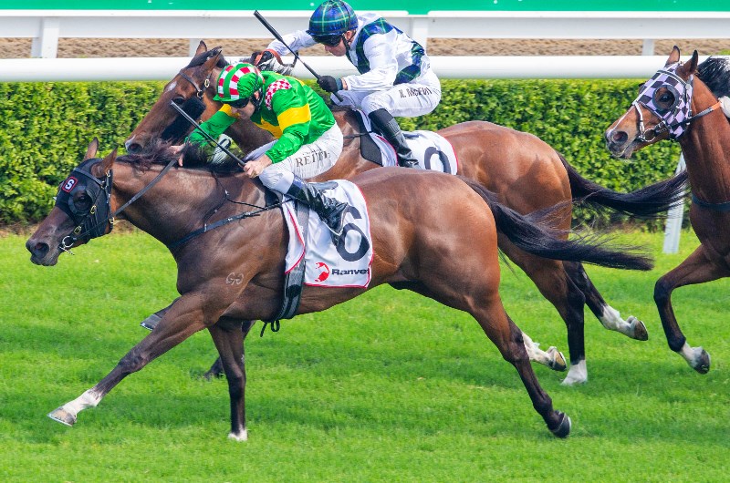 Racing Review from 04.01.2020 Racing Review from 04.01.2020