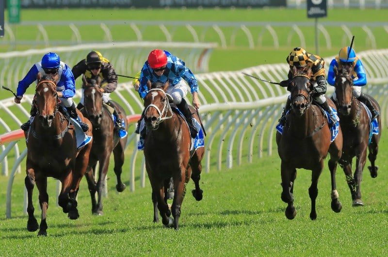 2020 Karaka Millions 3YO Classic Tips