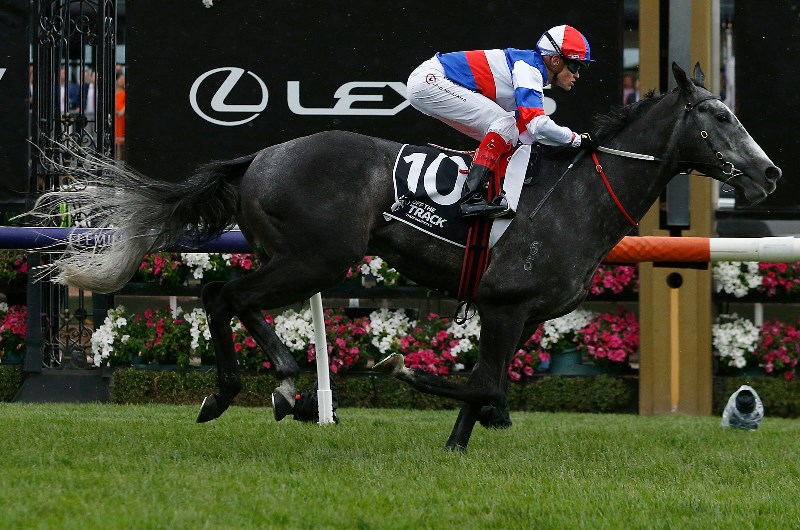 Bumper Blast is poised for first stakes test