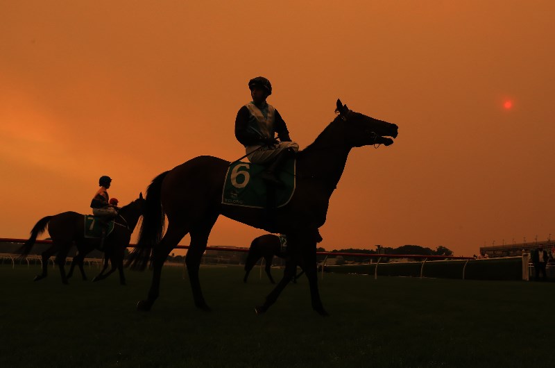 Horse Racing