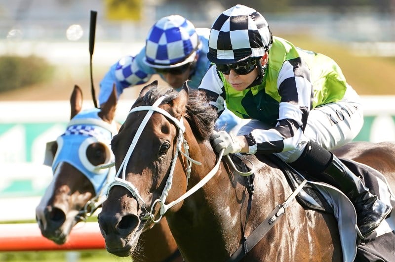 What is an Exacta?, How to place an Exacta bet