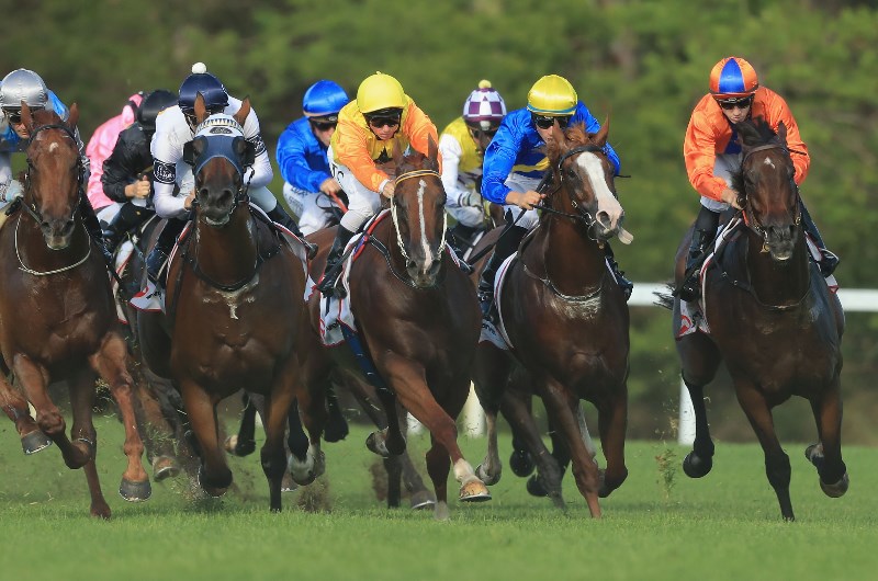 Warwick Farm Blackbookers from 08.01.2020