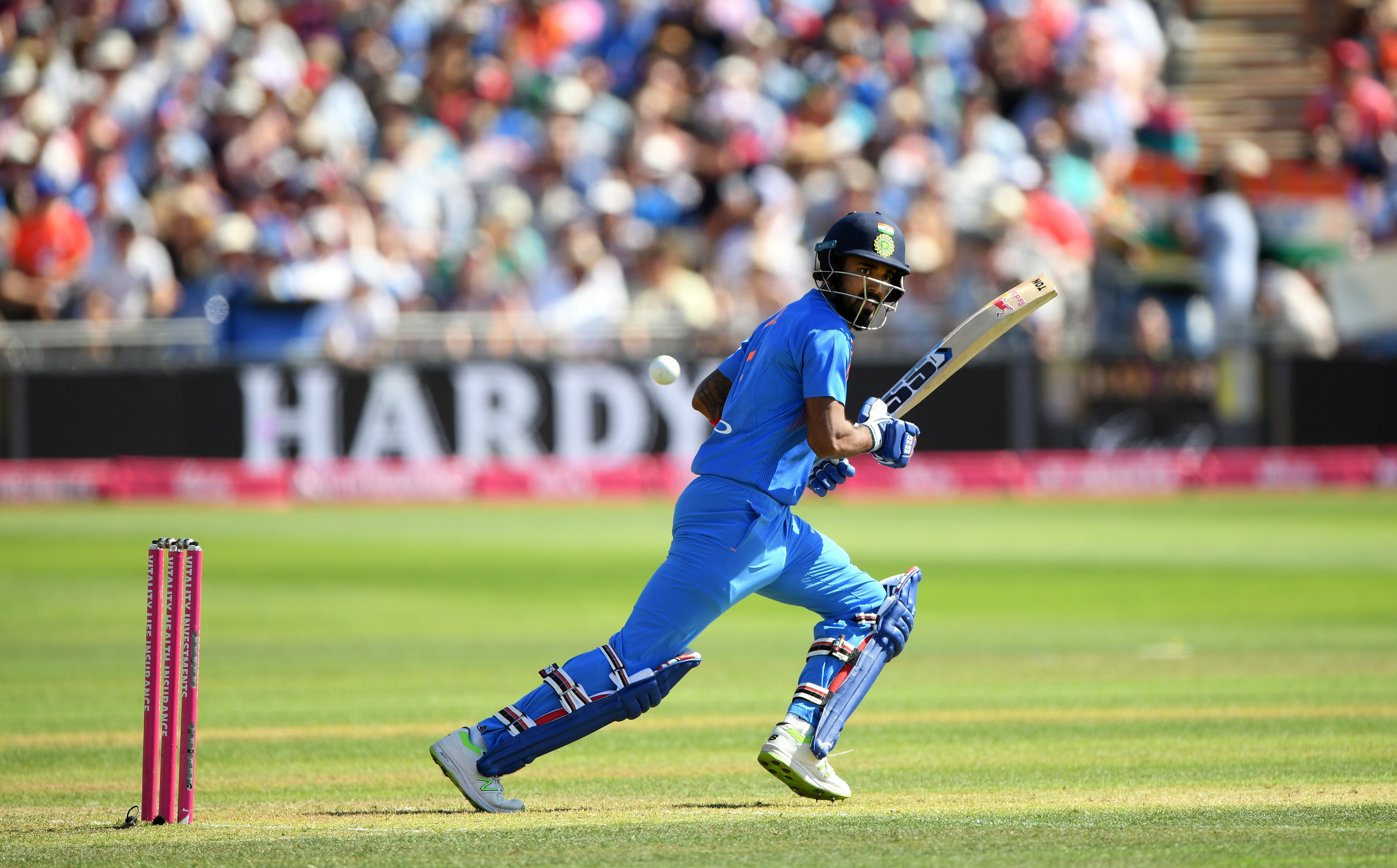 Kl Rahul Betting App Kl Rahul Betting App