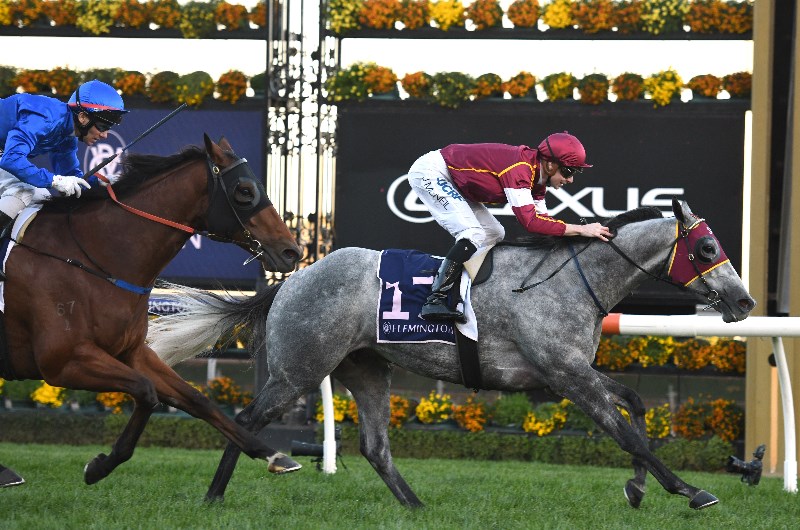 Blazejowski ready for a Flemington return