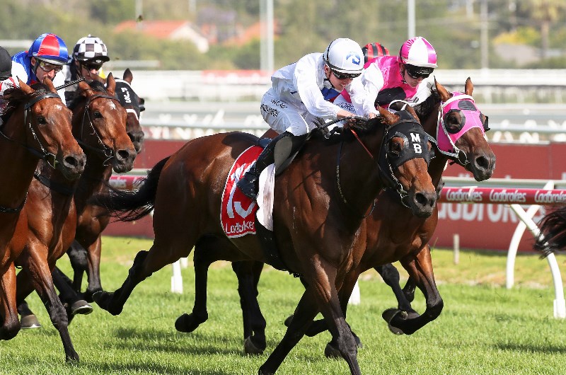 Yarra Valley Racing Tips For January 15