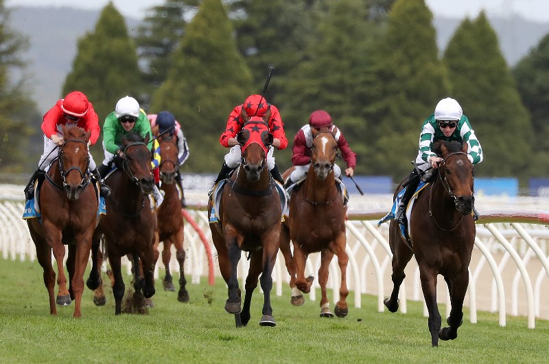 Bunbury Racing Tips for 15.01.2020