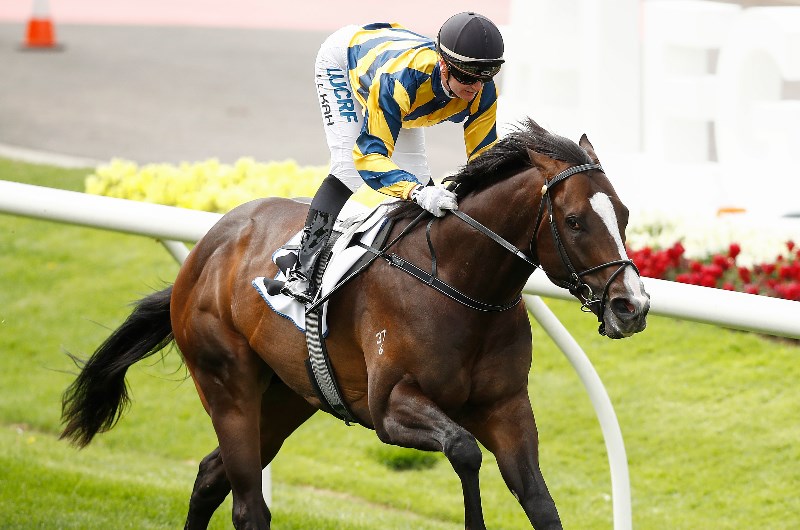 Satorial Splendor to face a first-up test