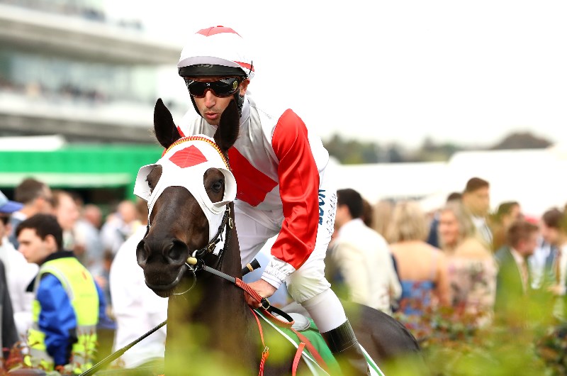 Star mare Mystic Journey suffers a setback